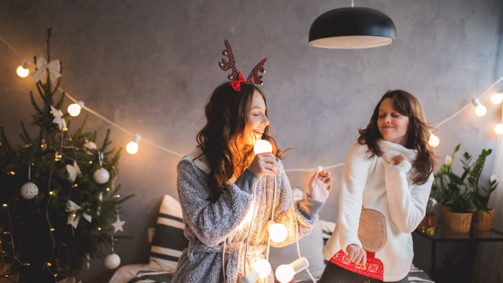 Where to buy Christmas trees in London Blog Zipcar